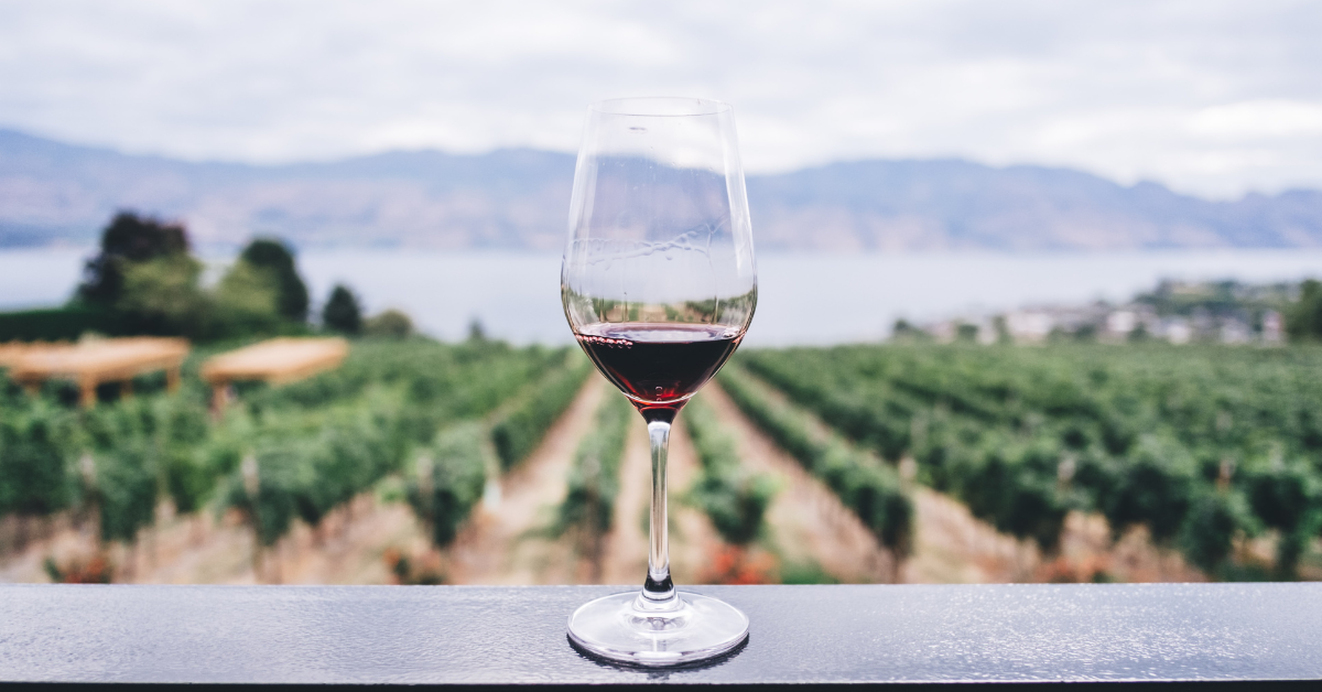 Importance of translation in the wine industry